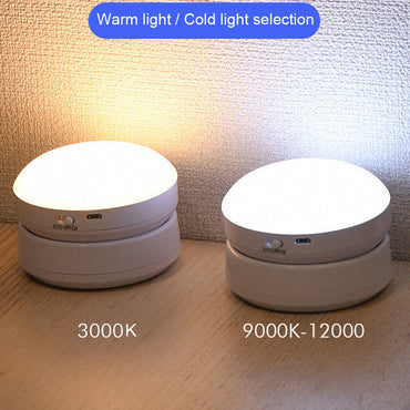 motion sensor light, hands-free lighting