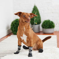 All Terrain dog Boots - Charcoal